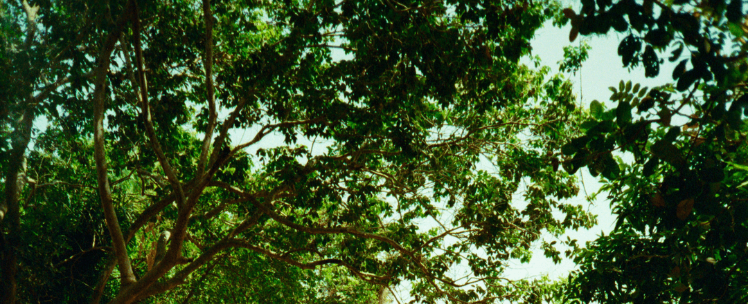 argy alexandratou business consulting